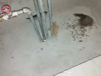 嵩明卫生间测漏水价格明细