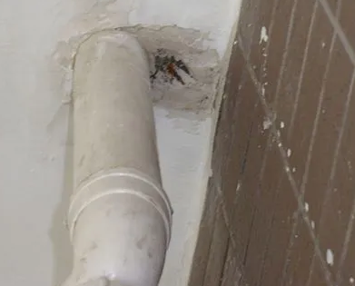 嵩明漏水检测哪家好